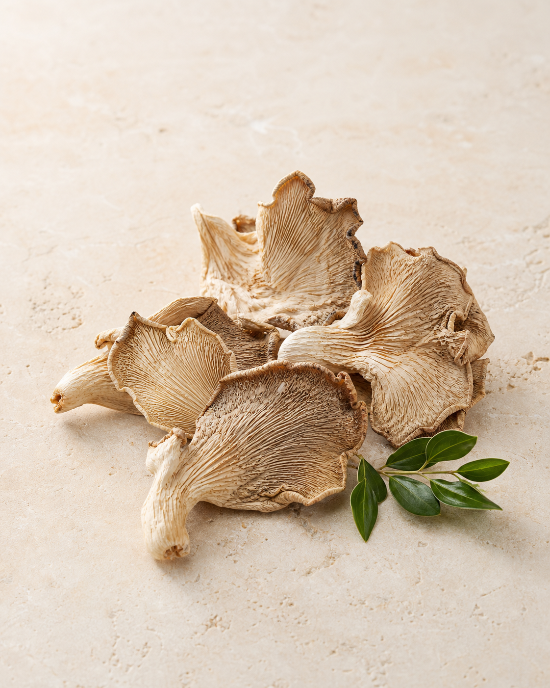 Dried Oyster Mushroom